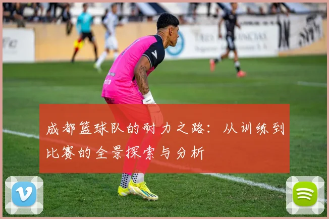 成都篮球队的耐力之路：从训练到比赛的全景探索与分析