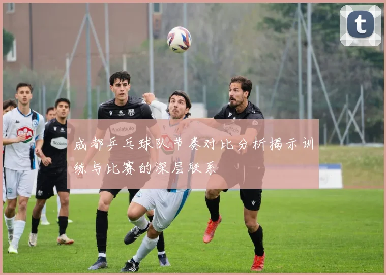 成都乒乓球队节奏对比分析揭示训练与比赛的深层联系