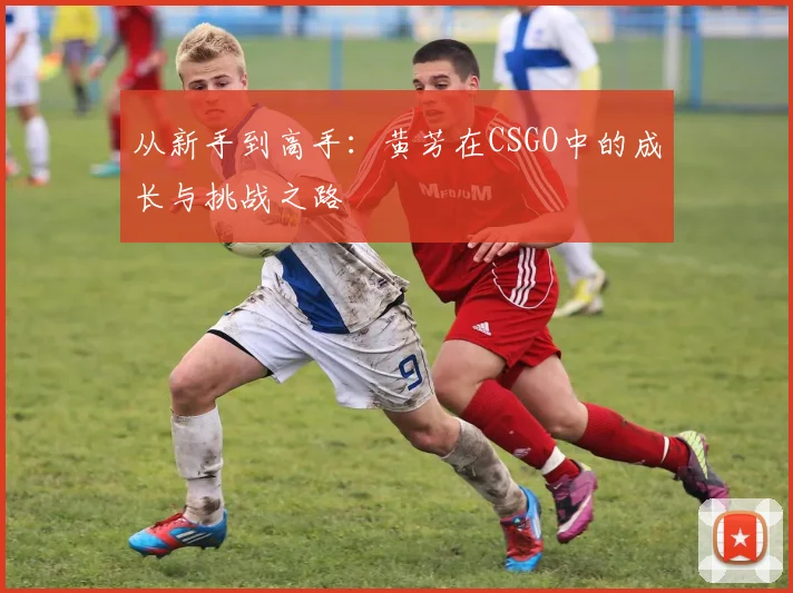 从新手到高手：黄芳在CSGO中的成长与挑战之路