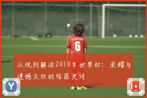 从规则解读2010年世界杯：荣耀与遗憾交织的绿茵史诗